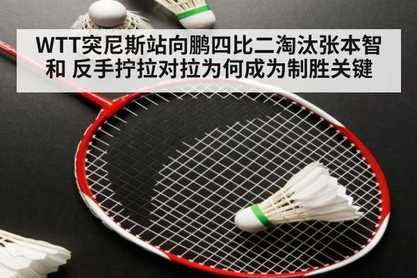 WTT突尼斯站向鹏四比二淘汰张本智和 反手拧拉对拉为何成为制胜关键
